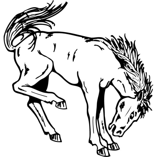 HORSE038 Thumbnail