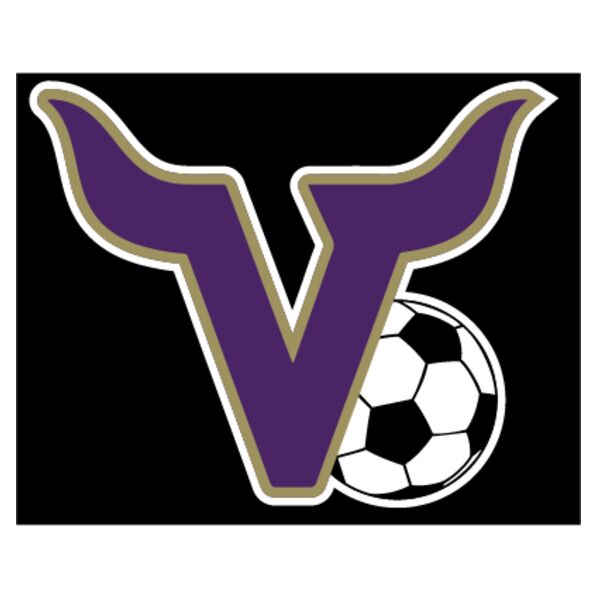 VHS BS Decal Thumbnail