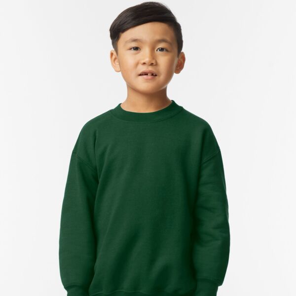 Blank Youth Crewneck Sweatshirt Thumbnail