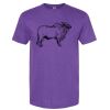 Unisex Softstyle® CVC T-Shirt Thumbnail