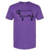 Unisex Softstyle® CVC T-Shirt Thumbnail