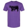 Unisex Softstyle® CVC T-Shirt Thumbnail